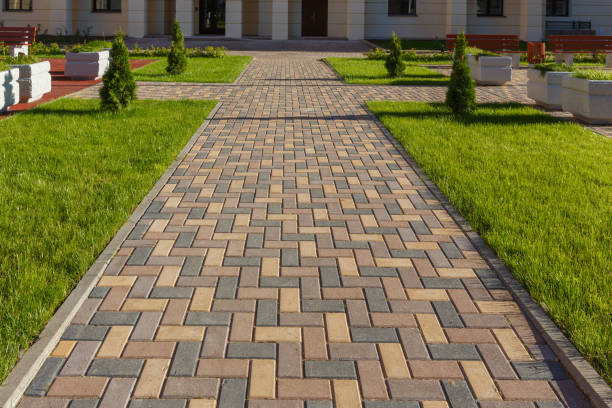 Best Decorative Driveway Pavers  in Blooming Prairie, MN